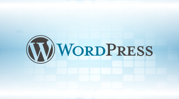 Hàng triệu website doanh nghiệp đứng trước nguy cơ bị chiếm quyền từ chính công cụ đang sử dụng