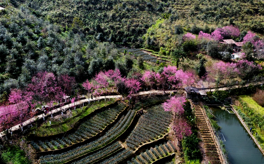 Tháng 8: 3 con giáp này lật ngược vận mệnh, tài lộc đổ về sau chuỗi ngày gian nan.