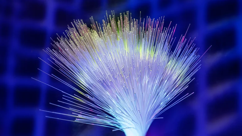Mạng 6G có thể chạy bằng... tơ tằm: Ý tưởng kỳ lạ nhưng cực kỳ hứa hẹn!