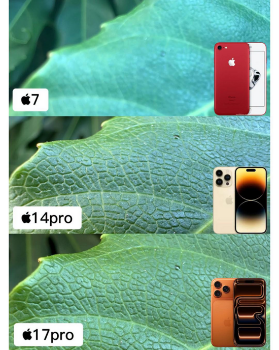 Sự tiến hóa của camera macro trên iPhone: 10 năm chụp ảnh cận cảnh
