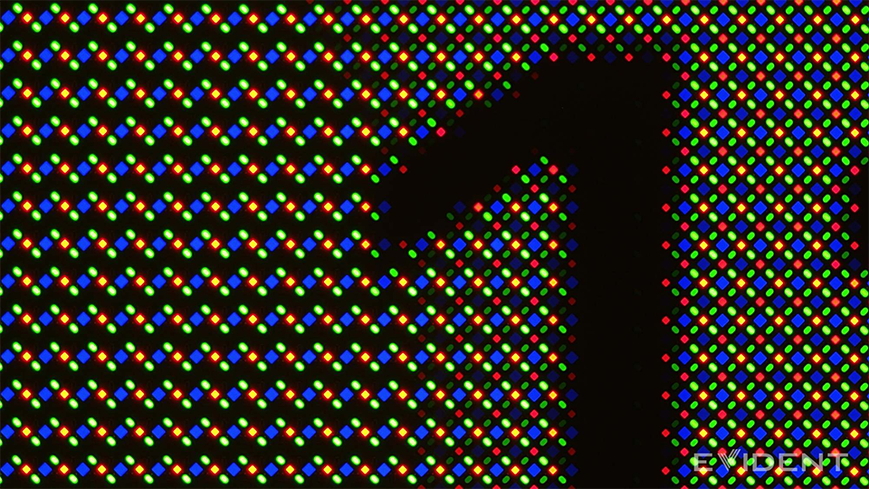 1789957485425.png 1789957485425.png