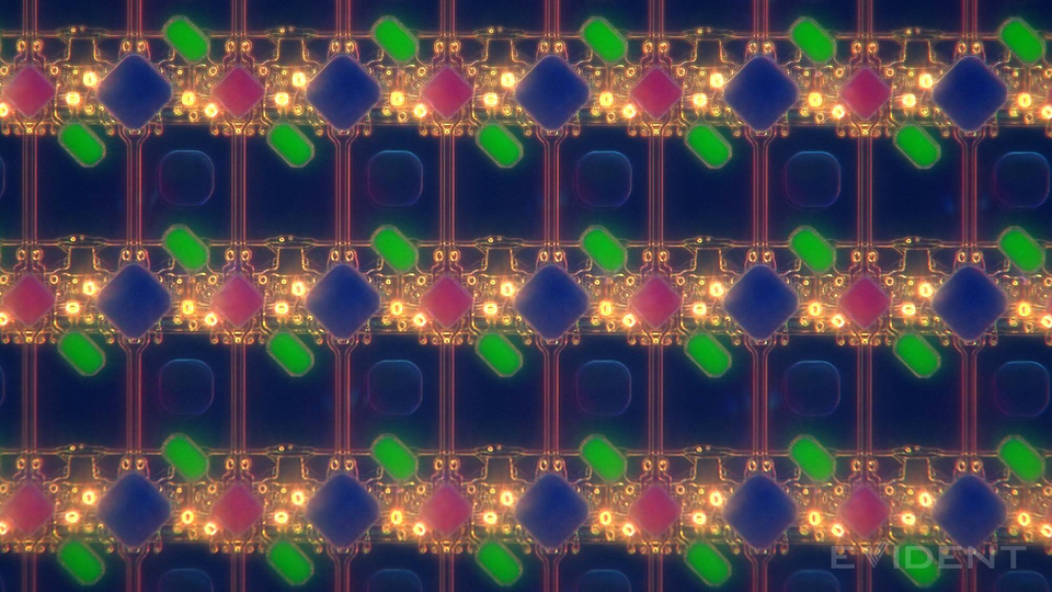 1789957544675.png 1789957544675.png
