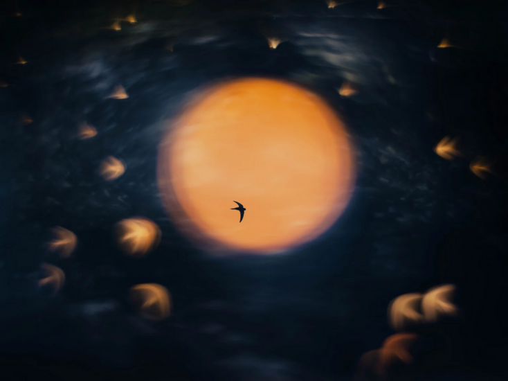 1790137139129.png 1790137139129.png