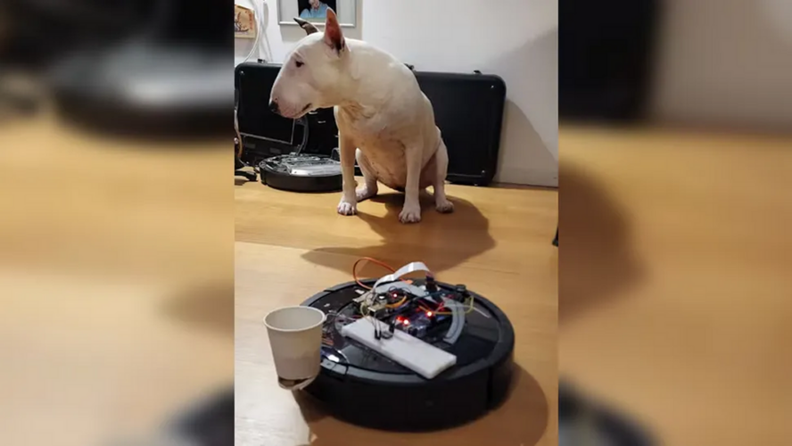 Hô biến robot hút bụi Roomba thành robot cho chó ăn tích hợp AI