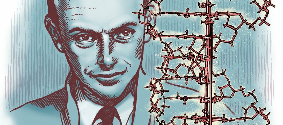 DNA - ngôn ngữ chung của sự sống và hành trình giải mã của con người