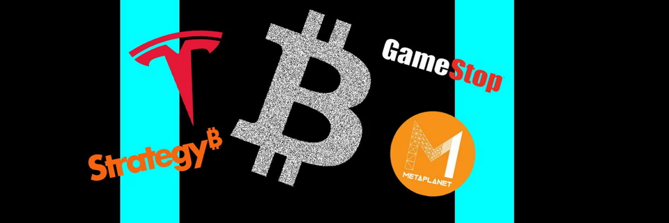 Những “cá mập” đang tích trữ nhiều bitcoin nhất thế giới