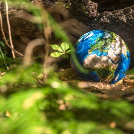 Mọi sự sống trên trái đất đều tuân theo quy tắc đơn giản này