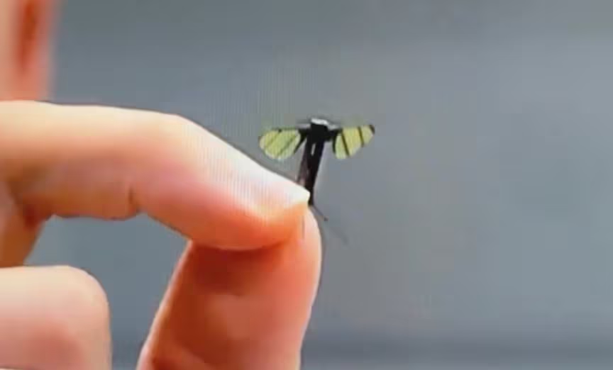 Trung Quốc khiến cả thế giới “mắt chữ O mồm chữ A” khi phát triển drone tí hon cỡ con muỗi