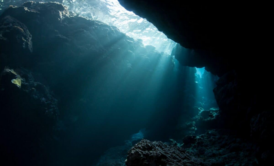 Loài vật ngoài hành tinh xuất hiện dưới đáy đại dương sâu 8.000 mét?