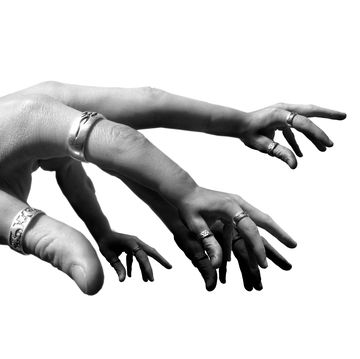 Không phải viễn tưởng: Khả năng mọc lại chi người có thể trở thành sự thật